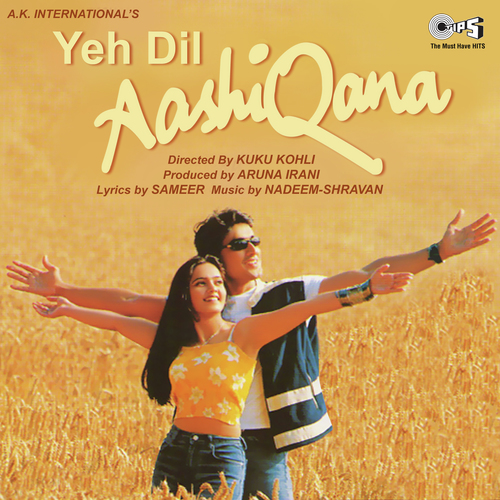 Yeh Dil Aashiqana (2002) (Hindi)